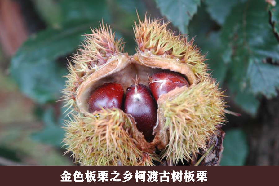 开云体验APP官网入口 - 开云(中国)